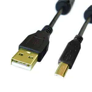 vergoldetes USB AM zu BF-Kabel USB-Druckkabel mit Ferritperlen 30 cm