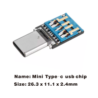 Chip Flash Drive USB Tipe C Tanpa Casing Chip USB 16 GB Flash Drive Tipe C Chip USB