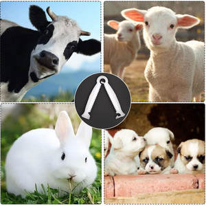 Piglet tali pusar sekali pakai, instrumen dokter hewan penjepit umbilikal putih untuk peralatan pertanian melahirkan hewan - Product Image 6