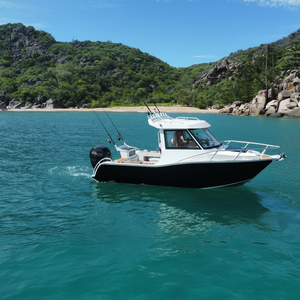 <span class=keywords><strong>Barco</strong></span> de Pesca de Aluminio de Lujo con Cabina Abierta Personalizada Profisher de 6 m (20 pies) con Motor Fuera de Borda - Product Image 1