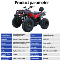 Quad à quatre roues automatique à essence et électrique de 250 cm3 haute puissance, quad pour adultes, UTV, moto tout-terrain