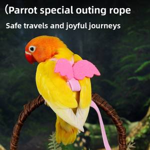 Correa de Cuerda para Pájaros y Loros, Modelo Peony-12, para Macaw, Cockatiel, Tiger Skin, Juguete para Pasear al Aire Libre - Product Image 5