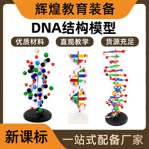 Modelo de estructura de doble hélice de ADN con bases; equipo de demostración de estructura molecular y material didáctico para escuelas secundarias - Product Image 5