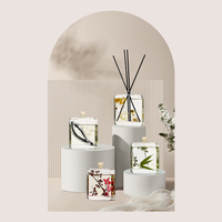 Diffuseur de roseaux avec bâtons en rotin, parfum de maison, marque privée de luxe, bouteille en verre de 100ml, huile essentielle, arôme