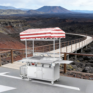 Rust Resistant 4 Wheel Mobile Snack <b>Food</b> Service Cart Stainless Steel Convertible Grill Built-In <b>Heater</b> Outdoor 2-Year Warranty - Product Image 5