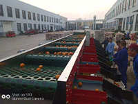 Appelui Oranje Bosbessenaardappel Avocado Dadelfruit Tomatensorteerder Sorteermachine Sorteermachine Sorteren En Wassen