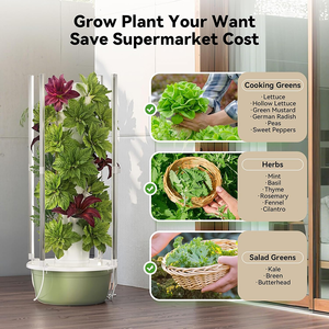ระบบปลูก<span class=keywords><strong>ผัก</strong></span>แนวตั้งแบบแอโรโปนิกส์ทาวเวอร์ ระบบปลูก<span class=keywords><strong>พืช</strong></span>ไร้ดินแบบไฮโดรโปนิกส์ทาวเวอร์ สำหรับปลูก<span class=keywords><strong>ผัก</strong></span>ในร่ม กระถางปลูก<span class=keywords><strong>ผัก</strong></span>อัจฉริยะสำหรับบ้าน - Product Image 4
