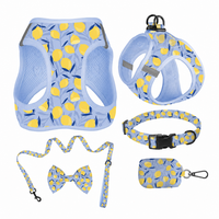Ensemble de laisse pour chien anti-traction, nouveau modèle, motif citron mignon, luxueux et durable, vente en gros, produit pour animaux de compagnie, offre spéciale