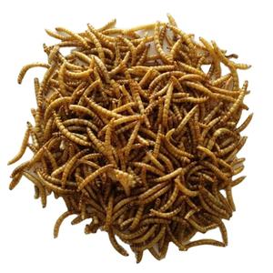 Mealworm secca Additivo per Mangimi Per Animali - Product Image 1