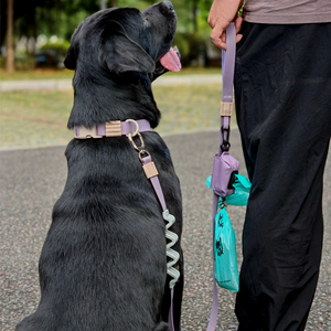 Tali Anjing Premium Anti Guncangan Desain Paten, Tersedia dalam Jumlah Besar - Product Image 1