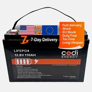 Lithium-Ionen-Batterie 12V 100Ah Solar batterie wiederauf ladbare Lifepo4-Batterie