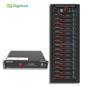 Dysness ระบบจัดเก็บพลังงานแบตเตอรี่ลิเธียมแรงดันไฟฟ้าสูงแบบติดตั้ง LiFePO4 50ah 48V สำหรับอุตสาหกรรม