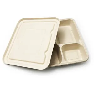 Kingwin Biodegradable Eco-friendly Compostable Disposable Bagasse Food Container
