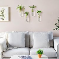 Kits de terrariums en verre borosilicate écologiques personnalisés, ensemble de jardinières murales rondes pour la maison et le bureau