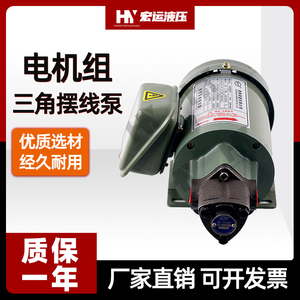 Triangular Cycloidal Pump Motor 220V Oil Gear Pump TOP 12A Machine Tool Lubrication - Product Image 2