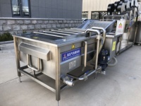Multifunctionele bubbelwasmachine voor het reinigen van groenten en fruit voor groentewinkels en de cateringindustrie