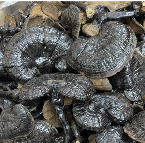 Оптовая продажа, различные высококачественные сушеные грибы <span class=keywords><strong>Ganoderma</strong></span> Lucid для продажи - Product Image 5