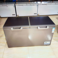 Refroidisseur de Boissons à Porte Unique de 1,45 m et Double Température R290, avec Congélateur à Support Métallique Supérieur pour la Congélation Profonde et le Stockage de Glace