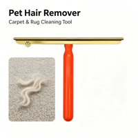 Grattoir à poils d'animaux portable et réutilisable, éliminateur de peluches manuel multi-surfaces, nettoyeur de poils de chien et de chat pour la maison, les tissus automobiles et les canapés