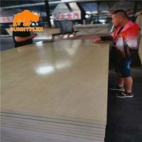 Lamelles en bois pour persienne sunnyduplex