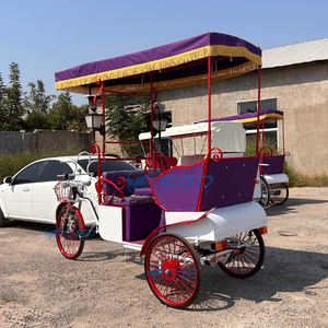 High Quality Economy Bestselling Passenger-carrying Electric Tricycle Made in China to Ride the <b>Pedal</b> Three-wheeled Car - Product Image 5