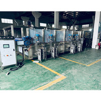 Complete volautomatische lijn voor de verwerking van vers fruit sap / drankenproductielijn / sapvulfmachine