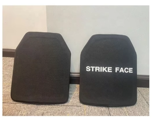 Plaque de protection frontale DFV10 SPORTS PROTECTION STRIKE - Product Image 1