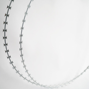 Fil <span class=keywords><strong>barbelé</strong></span> en acier inoxydable galvanisé argenté de 2,5 mm en bobine verte pour le camouflage et une protection supplémentaire - Product Image 2