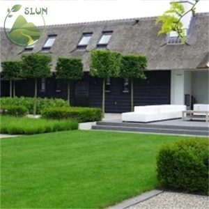 Gazon synthétique à <span class=keywords><strong>prix</strong></span> avantageux, tapis en herbe artificielle résistant aux UV, gazon artificiel pour terrain de football, terrain de futsal - Product Image 3