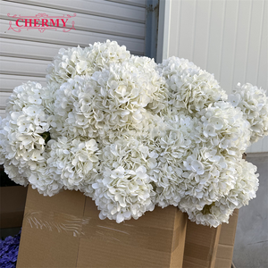 CM-TH623 Flor Artificial de Buena Calidad, Hortensia Blanca Individual al por Mayor para Floristerí<span class=keywords><strong>a</strong></span> - Product Image 1