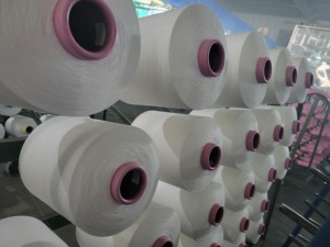 Grs chứng nhận nhà máy giá Polyester dty 100D/144f SD RW Lim cho đan dệt - Product Image 3