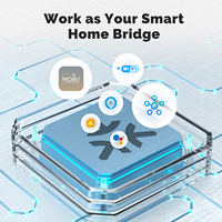 MOES Tuya WiFi Matter Mini Smart Switch Module Relais Minuterie Domotique App Télécommande Fonctionne avec Alexa Google Home Apple