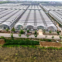 Kit de serre multi-spans de grande taille, système hydroponique, structure en acier galvanisé pour l'agriculture commerciale, fourni par l'usine