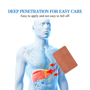 Hot Sale Gezondheidszorgbenodigdheden Leververzorgingspleisters Kruidenextract Leverdetox-Reinigingspleisters Andere Lichaamsverzorgingsproducten - Product Image 2