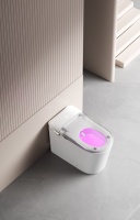 WC intelligent monobloc sur pied avec siège chauffant, couvercle automatique, lavage/séchage à chaud, télécommande, double chasse à siphon, grande remise