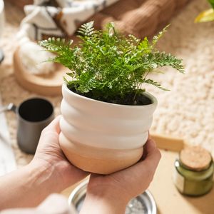 Macetas <span class=keywords><strong>comprar</strong></span> creativo personalizado al por mayor contenedor esmaltado cerámica Cactus <span class=keywords><strong>plantas</strong></span> <span class=keywords><strong>suculentas</strong></span> macetas y jardineras para la venta decoración del hogar - Product Image 1