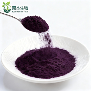 Organic Natural Pigment Black <strong>Carrot</strong> Powder Concentrate Root <strong>Extract</strong> - Product Image 4