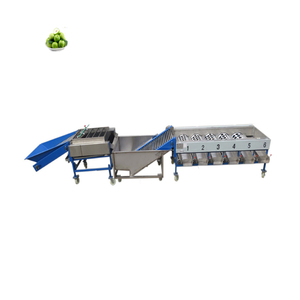 Potato Cherry Tomato Sorting Machine Lemon Orange Sorter Machine Fruit and Vegetable Grading Machine - Product Image 4
