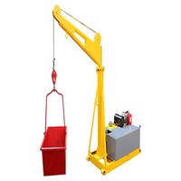 Mini Grue de Construction Diesel Portable de 1 Tonne à Vendre