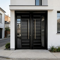 Porte de sécurité en métal à double battant fabriquée en usine avec structure renforcée, fabricant exportateur
