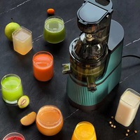 Stainless Steel Electric Slow Fresh Smoothie Fruit Citrus Orange Extractor Blender Slow Juicer Machine