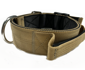 Hunde halsband mit weichem Neopren gepolstert, Edelstahl Hardware Hunde halsband - Product Image 3