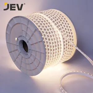 Pabrik grosir tahan air Ip65 110v/220v Led Strip cahaya Ce Rohs 24v biaya rendah Led Strip cahaya