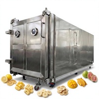 Lyophilisateur QS-FD-20 Configuration Moyenne Moteur en Acier Inoxydable SUS304 380V/220V 30000kg Garantie à Vie pour Fruits et Légumes