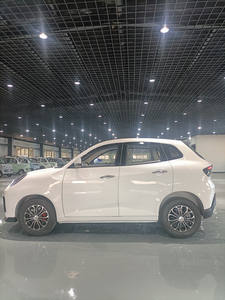 Mobil listrik <span class=keywords><strong>mini</strong></span> dengan kecepatan rendah dan harga murah untuk dua penumpang dewasa orang tua - Product Image 5