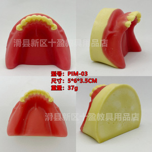Modelo de Implante Dental, Simulador de Levantamiento de Seno Maxilar, Modelo de Entrenamiento con Encía Suave, 6x7.2x2.7cm, 67g - Product Image 4