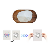 Poudre TPU thermofusible Tunsing pour impression par transfert thermique, encre blanche, très élastique pour fibres et vêtements
