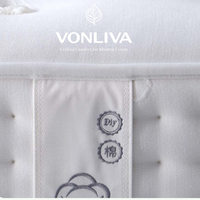 Matelas hybride de luxe Vonliva avec surmatelas en coton infusé au graphite et ressorts ensachés, garantie 10 ans – Idéal pour chambre d'étudiant, épaisseur 23 cm