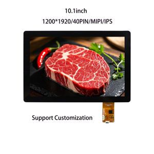 Écran LCD TFT HD-M personnalisé de 10,1 pouces avec résolution 1280x800 et écran tactile - Product Image 4