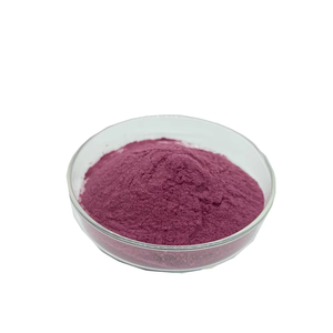 Extrait de myrtille de haute qualité 25% poudre d'anthocyanidines extrait de myrtille extrait de myrtille